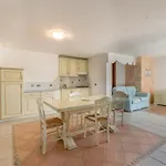 Danza Dei Fenicotteri