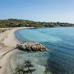 Danza Dei Fenicotteri *