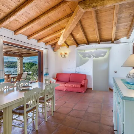 Danza Dei Fenicotteri Capo Coda Cavallo