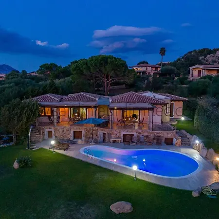 Danza Dei Fenicotteri