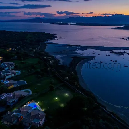 Danza Dei Fenicotteri * Capo Coda Cavallo