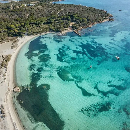 Danza Dei Fenicotteri *