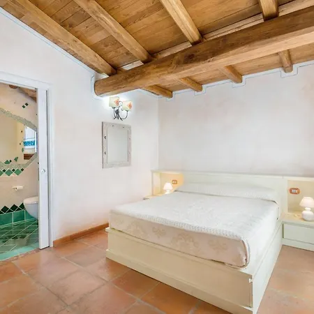 Danza Dei Fenicotteri