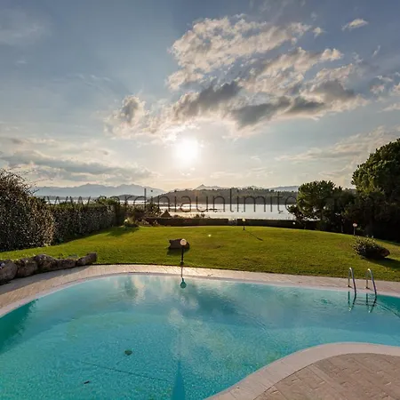 Danza Dei Fenicotteri Capo Coda Cavallo