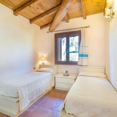 Danza Dei Fenicotteri *