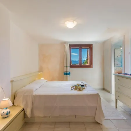 Danza Dei Fenicotteri Capo Coda Cavallo