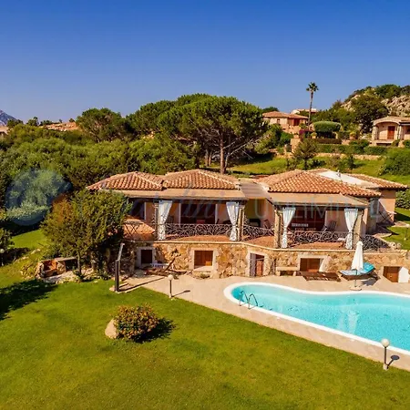 Danza Dei Fenicotteri *