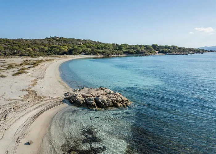 Danza Dei Fenicotteri *