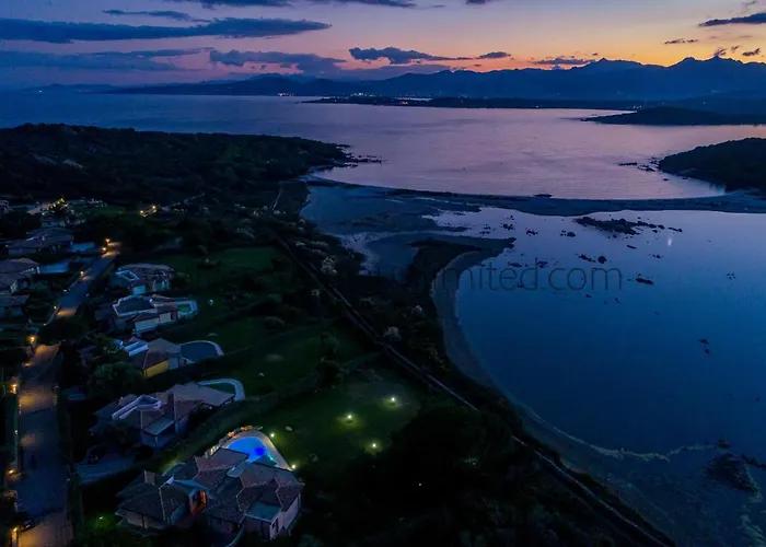 Danza Dei Fenicotteri * Capo Coda Cavallo