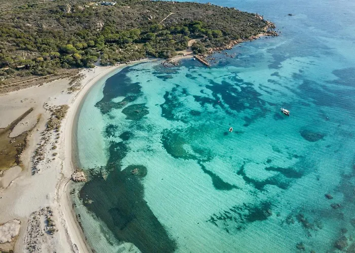 Danza Dei Fenicotteri *