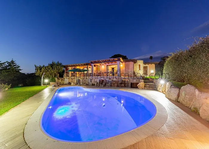 Danza Dei Fenicotteri