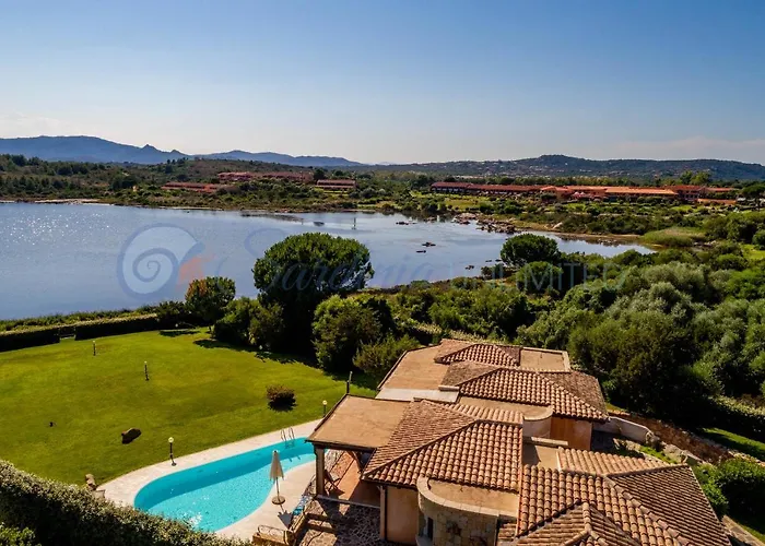 Danza Dei Fenicotteri