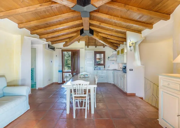 Danza Dei Fenicotteri * Capo Coda Cavallo