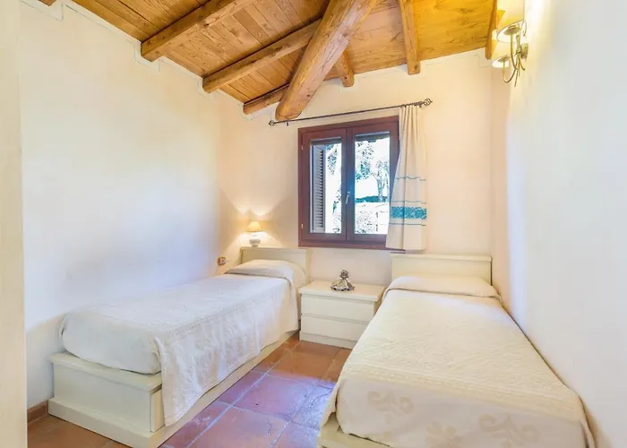 Danza Dei Fenicotteri *