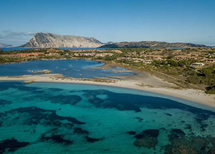 Danza Dei Fenicotteri Capo Coda Cavallo