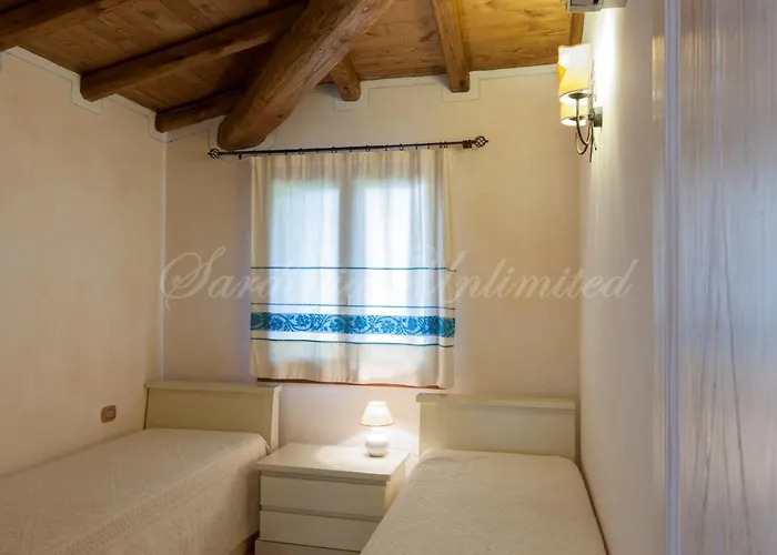 Danza Dei Fenicotteri