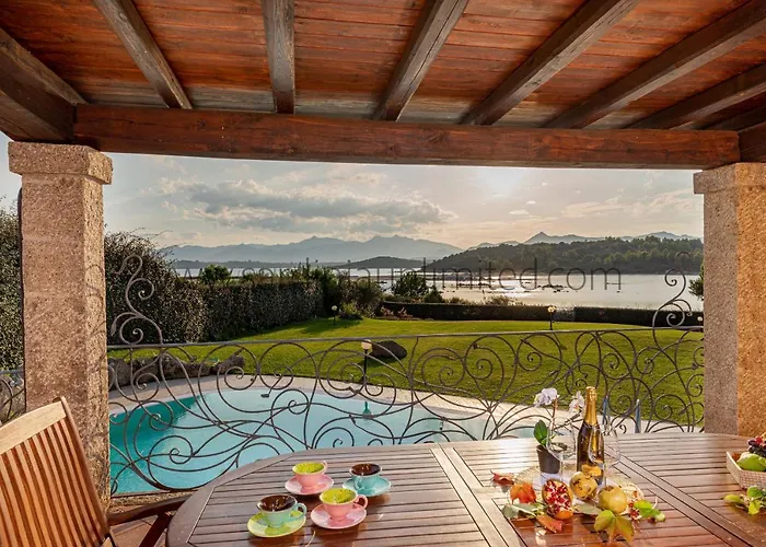 Danza Dei Fenicotteri Capo Coda Cavallo